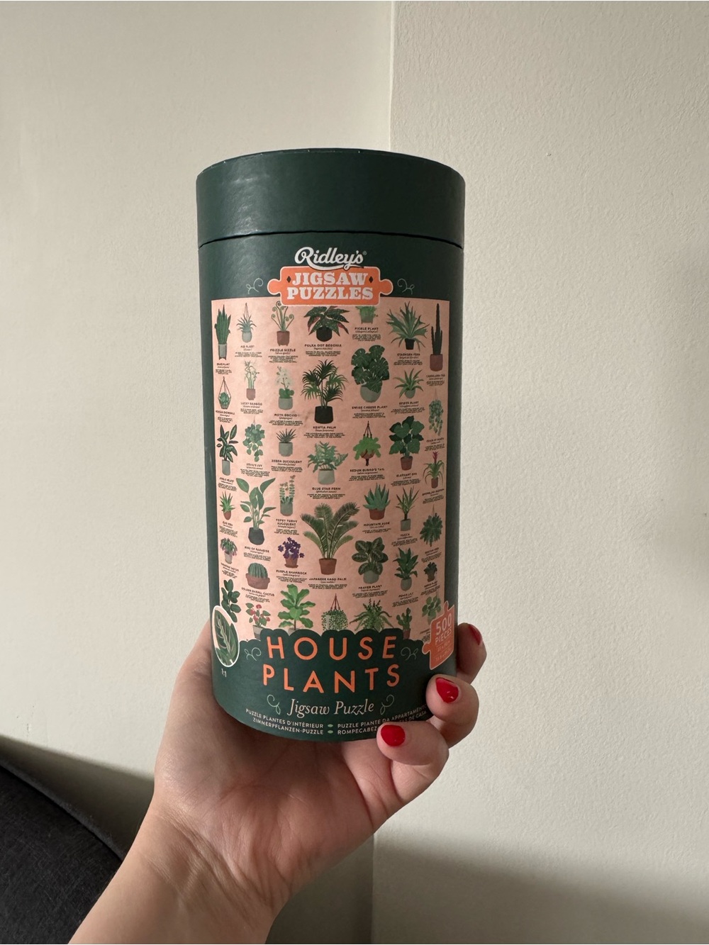 Ridley's House Plants 500-piece Jigsaw Puzzle